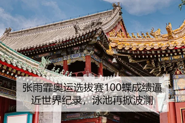 zhang-yu-fei-ao-yun-xuan-ba-sai-die-cheng-ji-bi-jin-shi-jie-ji-lu-yong-chi-zai-xian-bo-lan-2-113.jpg